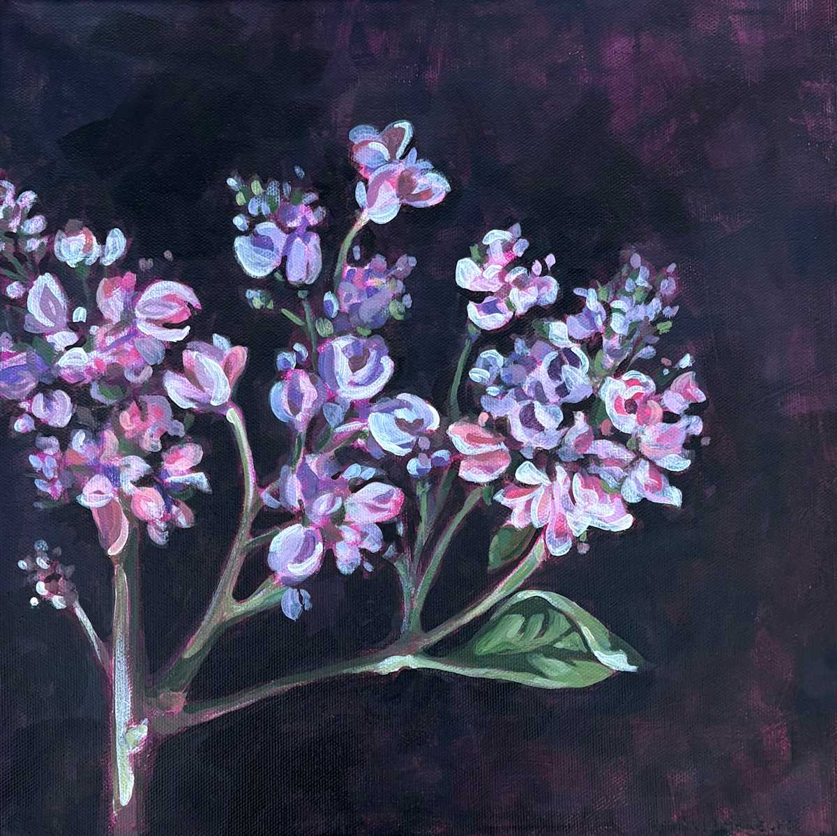 lilacs by Erica Lambrecht, Image 1.