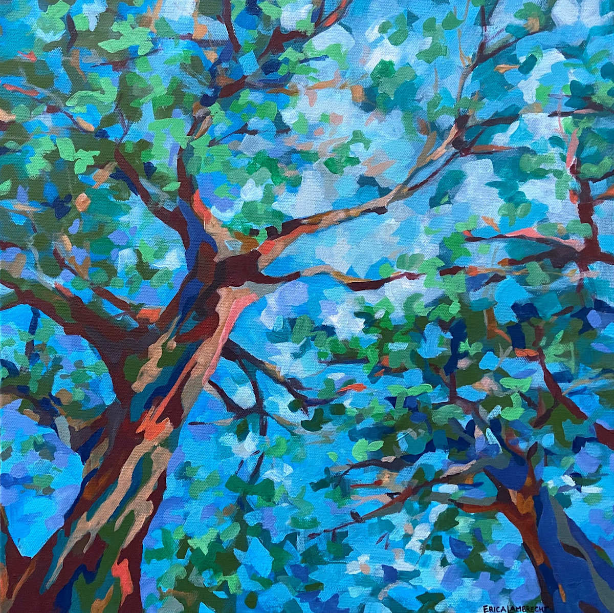 looking up by Erica Lambrecht 