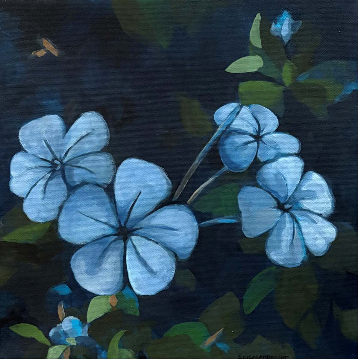 Periwinkle by Erica Lambrecht, Image 1.