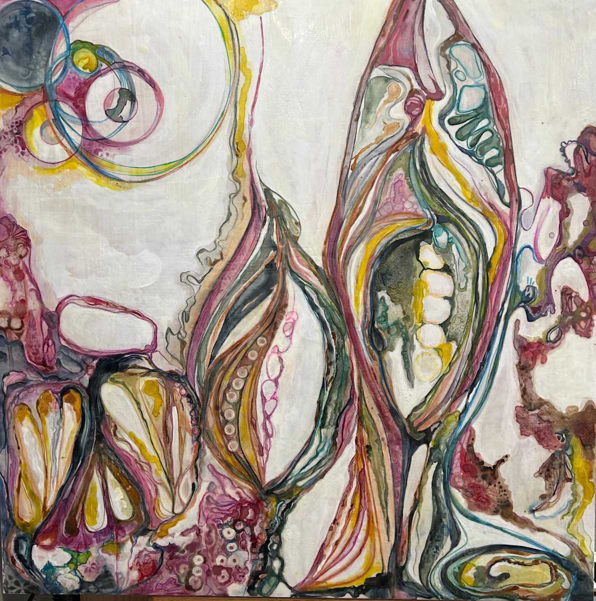 Asclepias syriaca by Melody E Epperson 