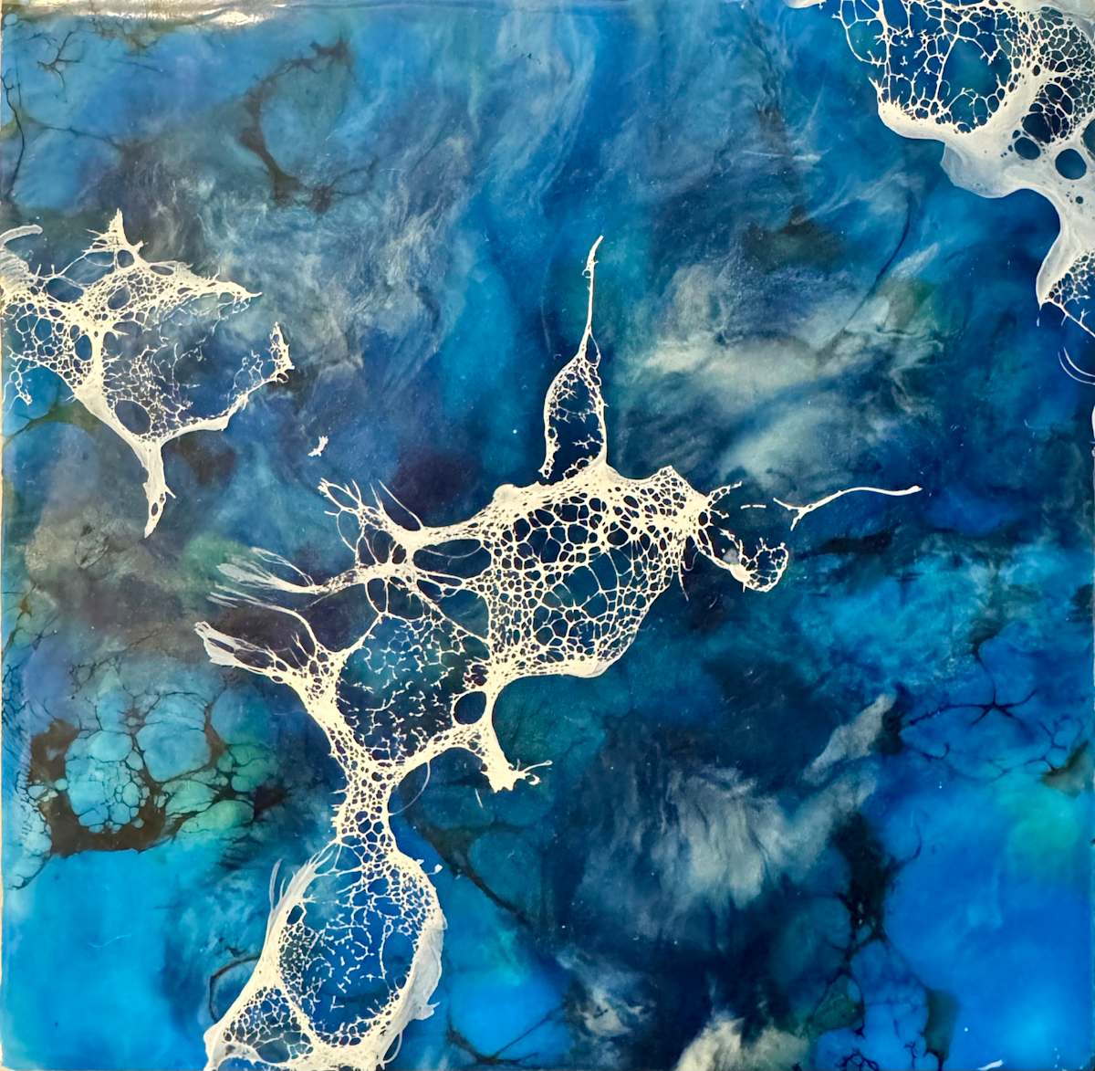 Tidal Lace by Teresa Spellman Gamble 