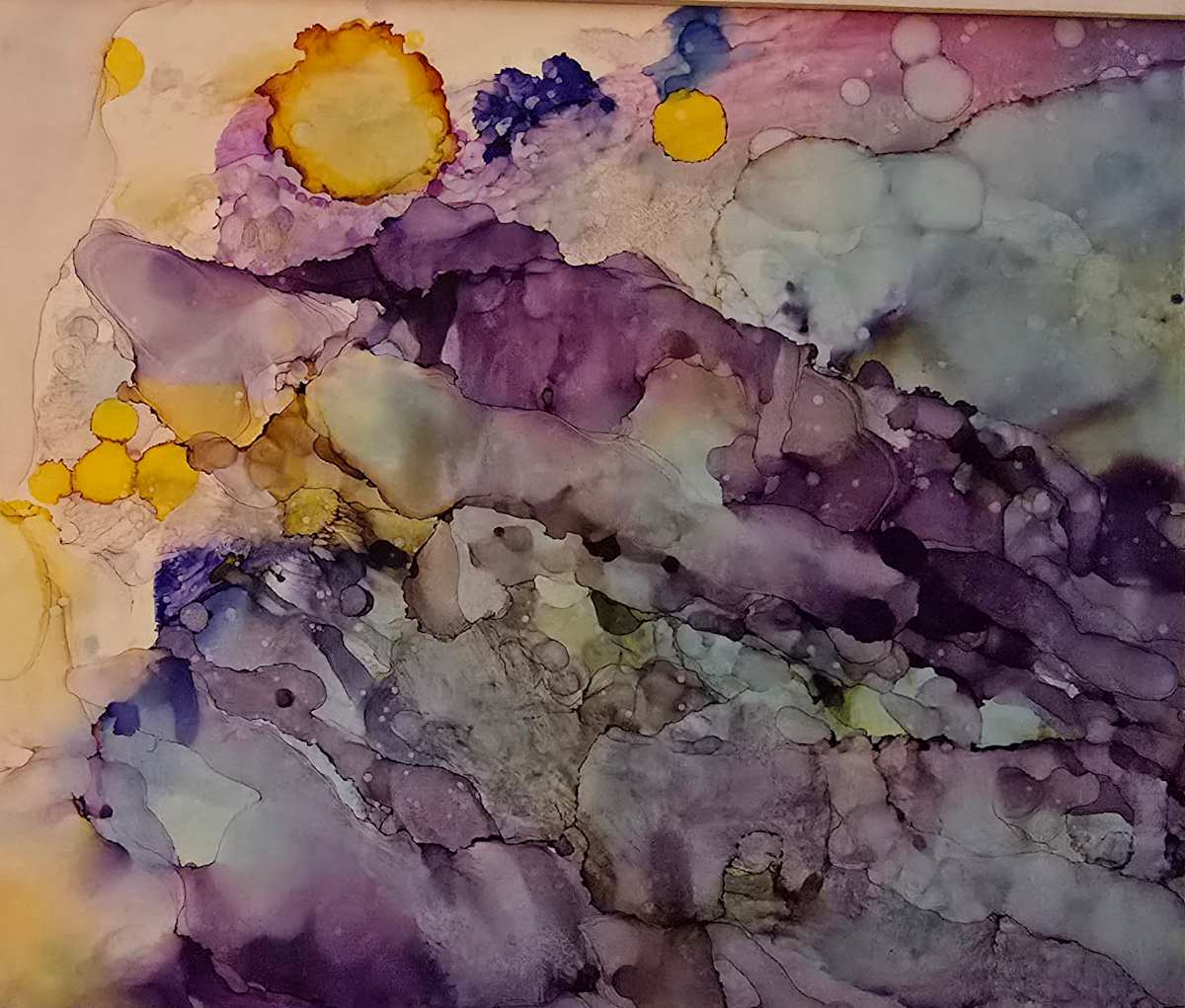 Lavender Coast by Julie Miller 