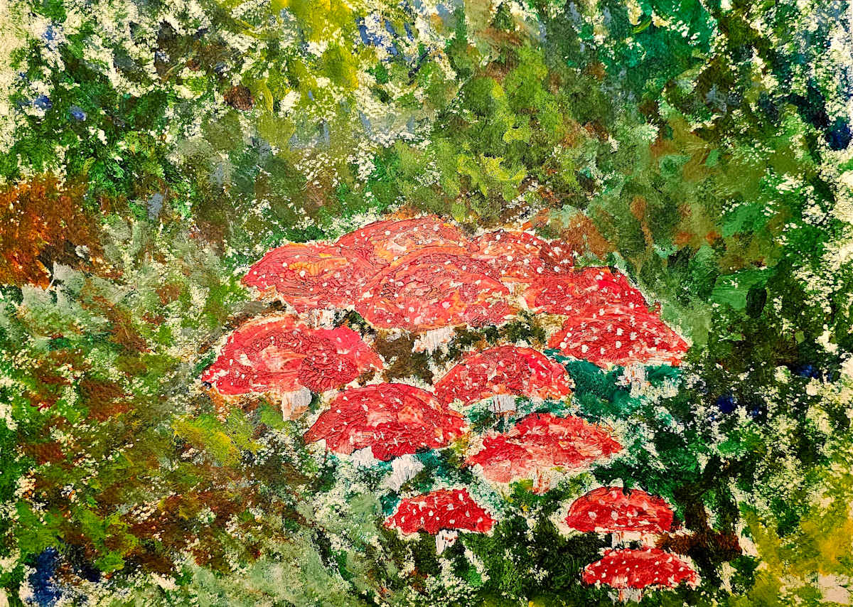 Las Muscarias by Lorena Salinas, Image 1.