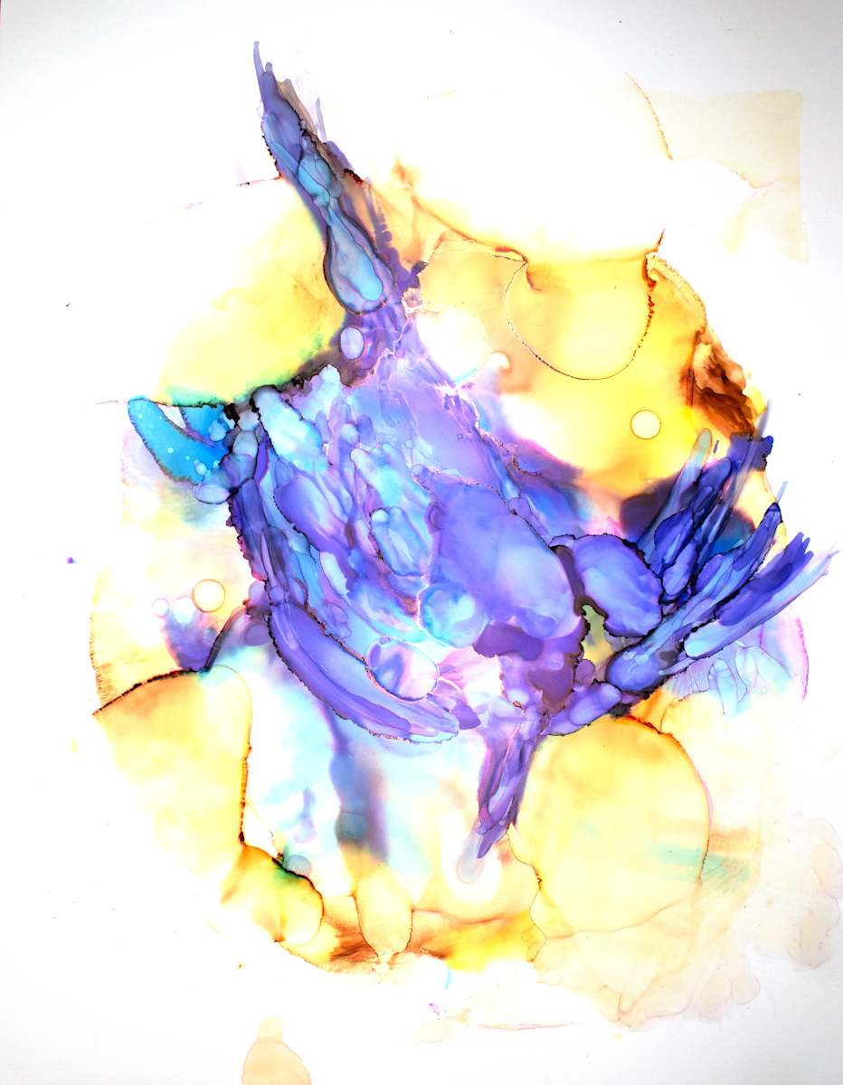 Stellar Blue Jay I by Julie Perryman, Image 1.