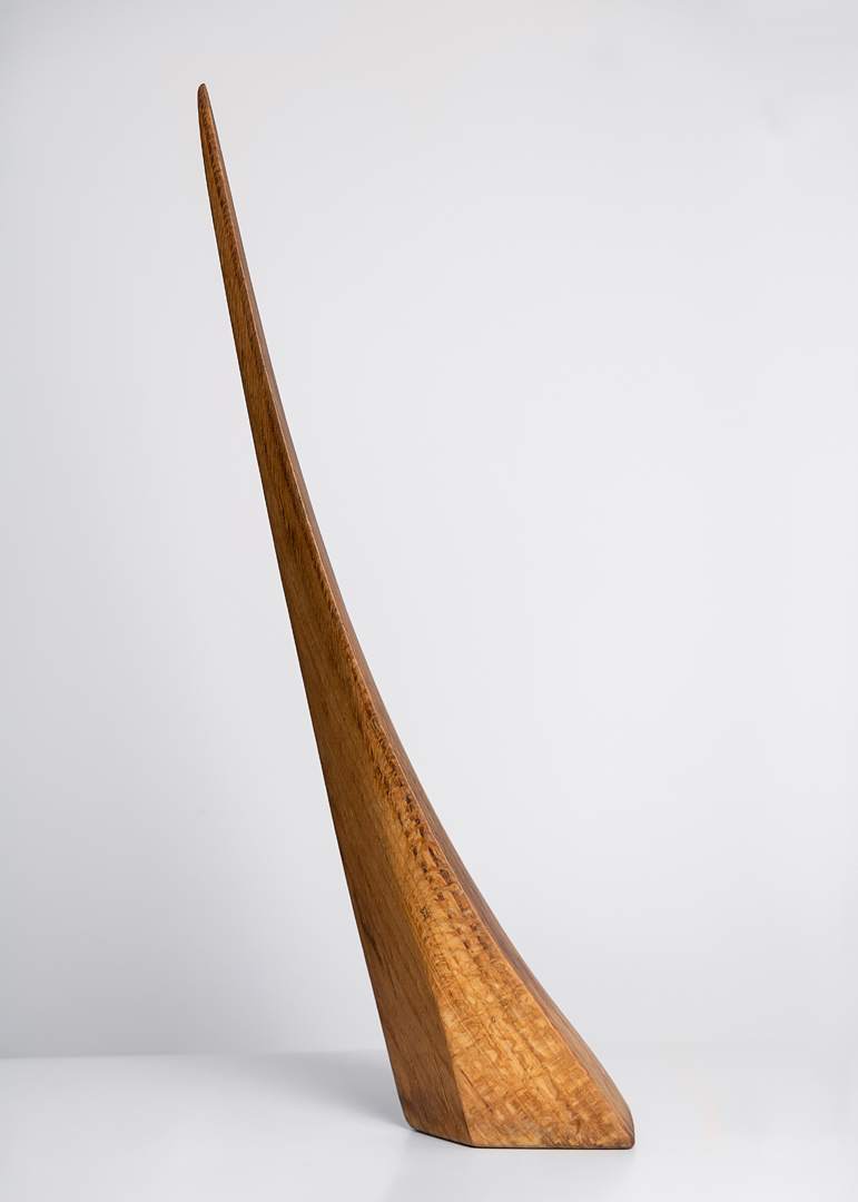 Palsternakka by Harry Matti Hukkinen, Image 1.