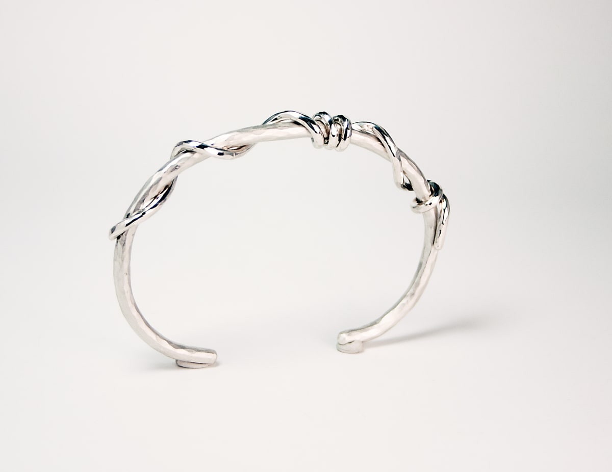 Moonlight Vines (6814) by Valerie Ostenak 