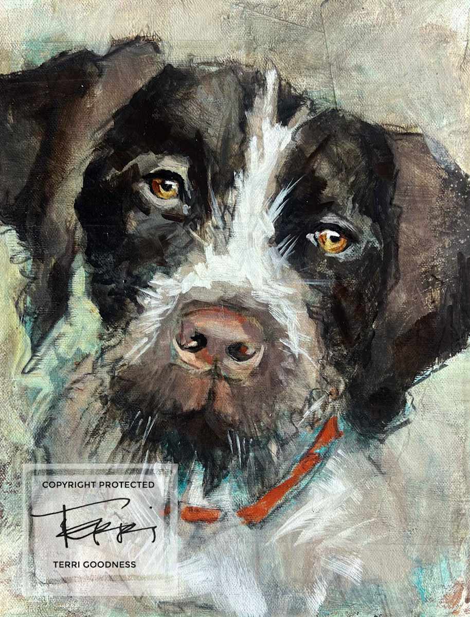 Abby by Terri Goodness, Image 1.