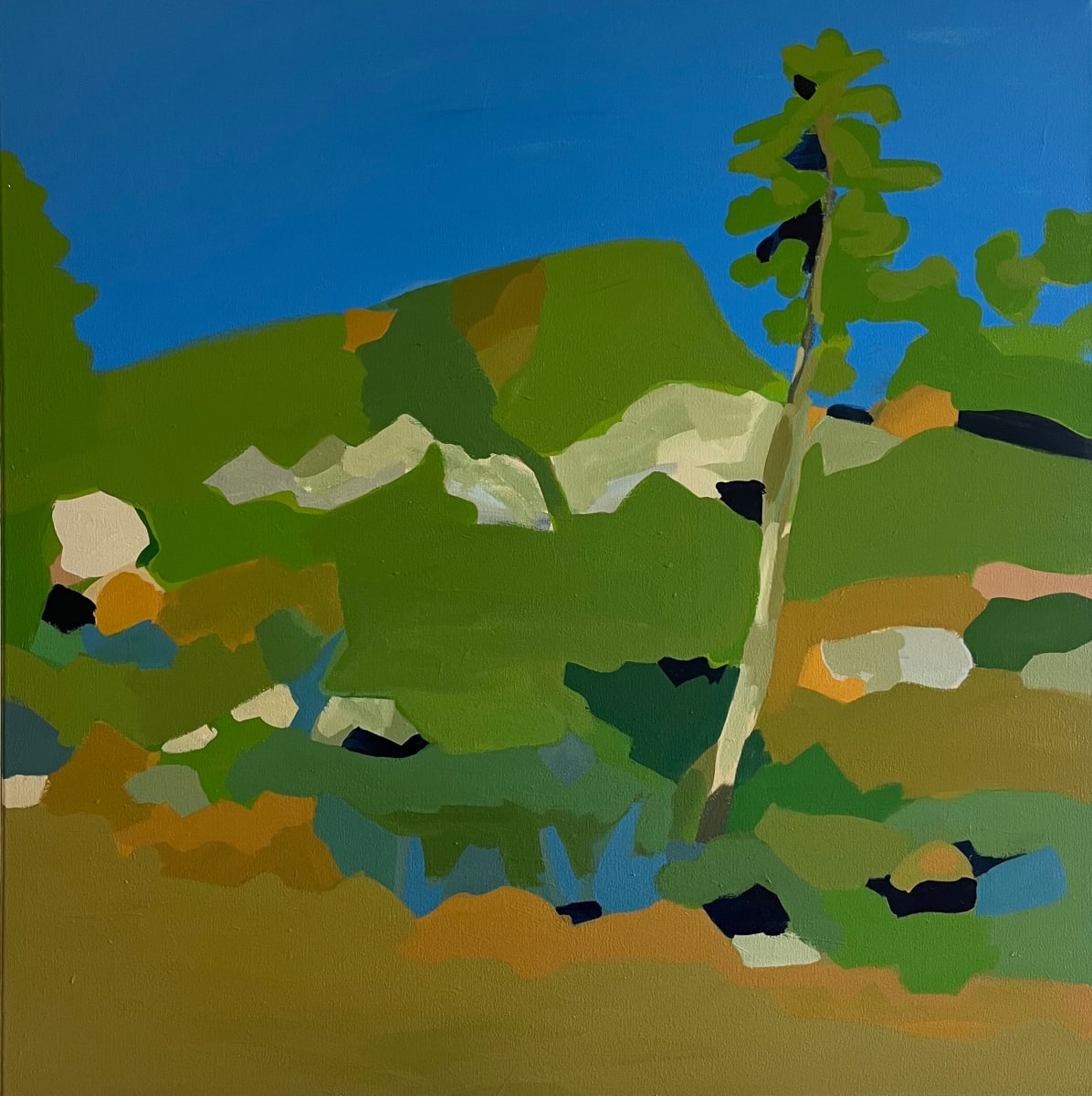 Green Hill by june mccartney 