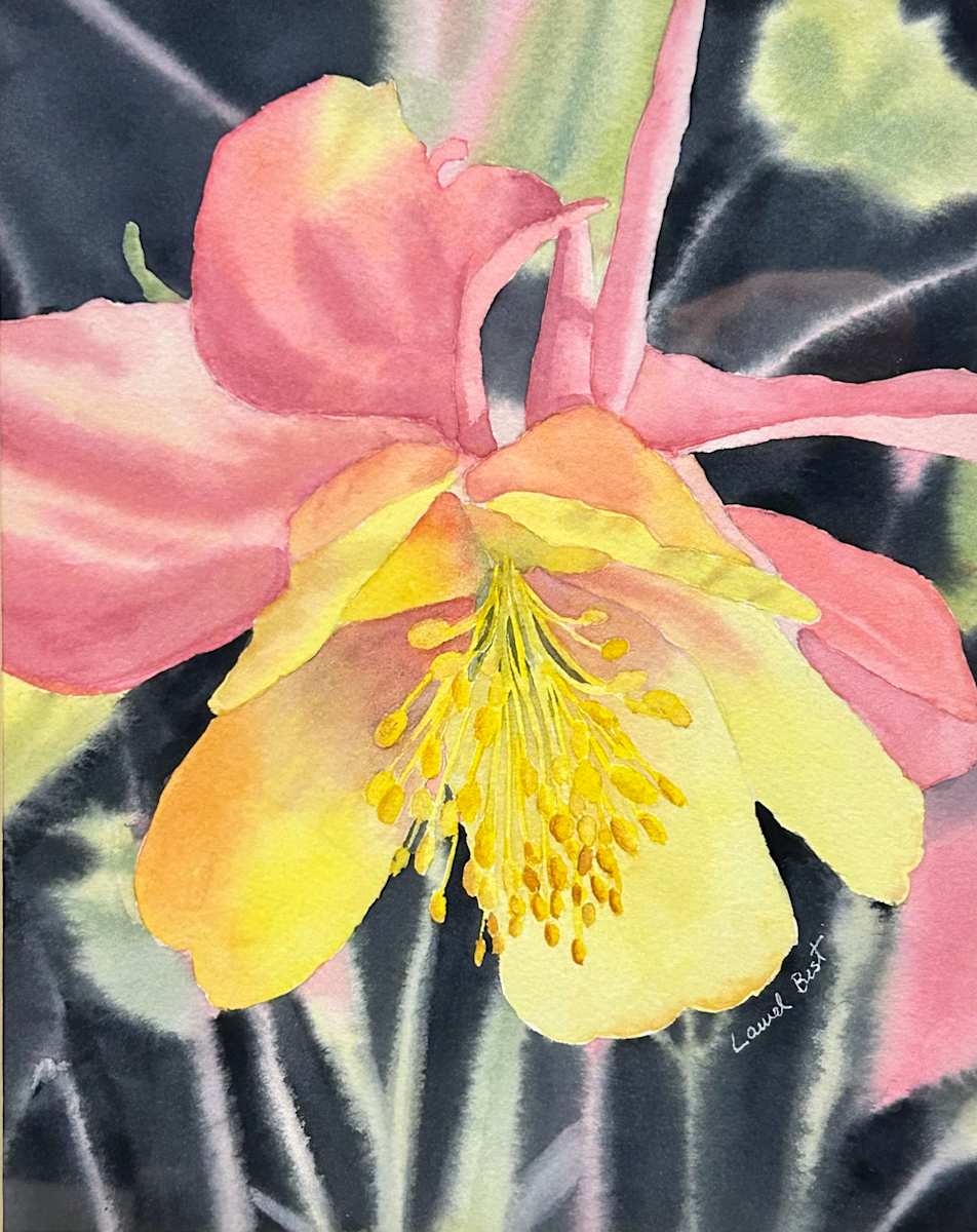 Columbine by Laurel Best 