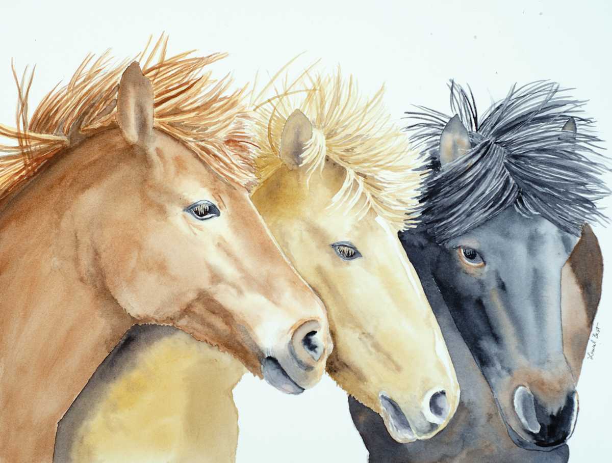 Wild Horses by Laurel Best 
