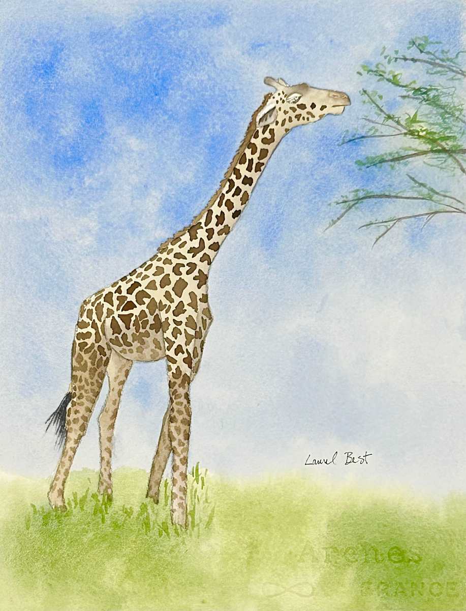 Masai Giraffe by Laurel Best 