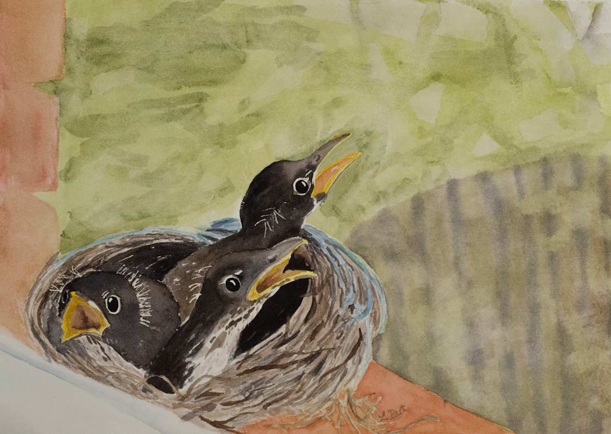 Robin Triplets by Laurel Best, Image 1.