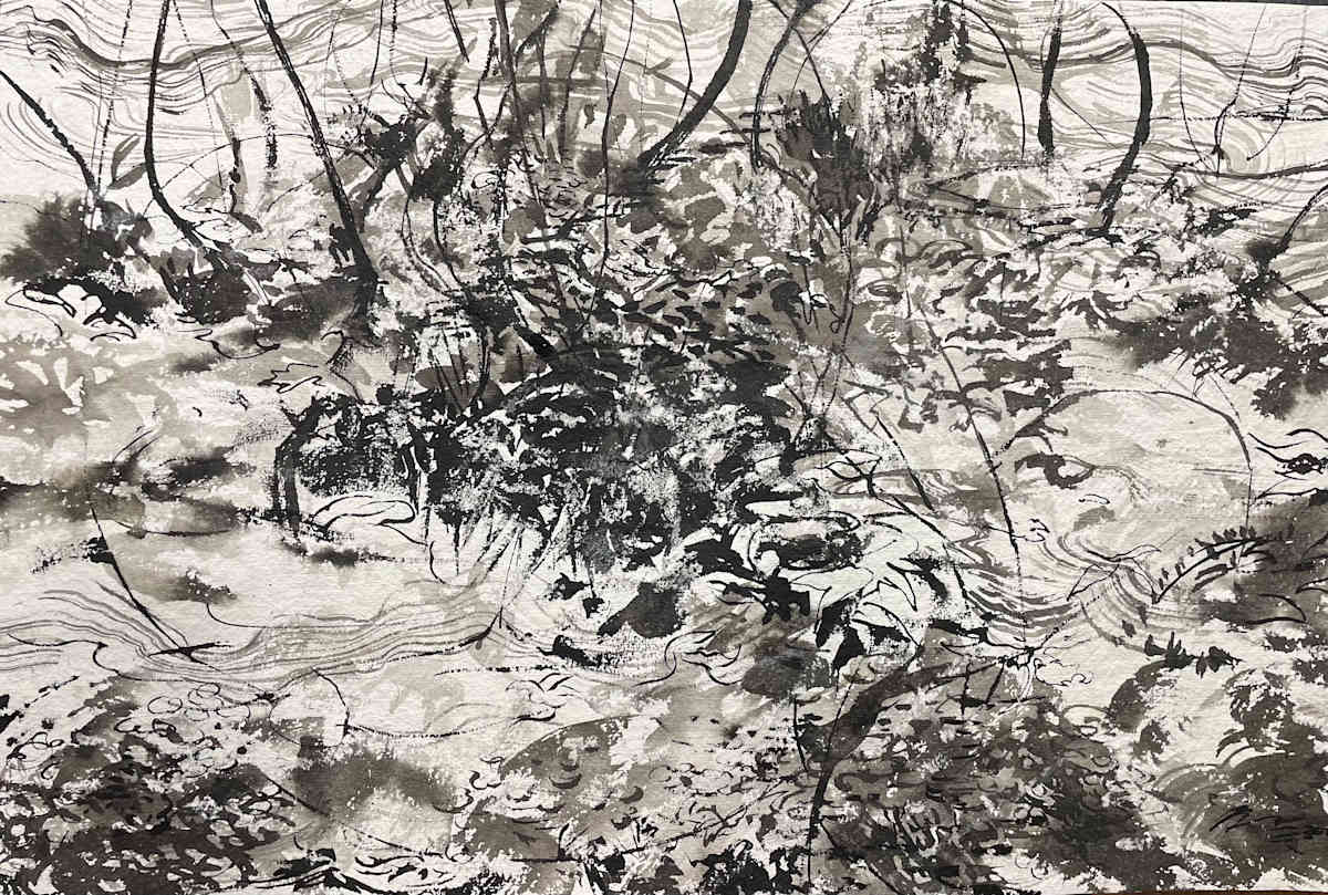 Old forest, new growth. by Hema A. Bharadwaj, Image 1.
