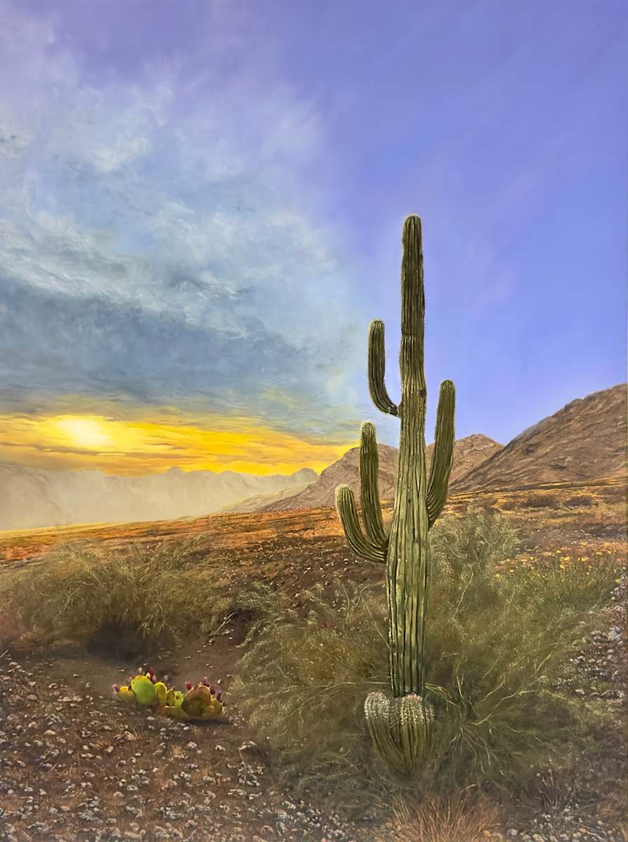 Saguaro Looking West Print by Bethany Stephan  Image: Print