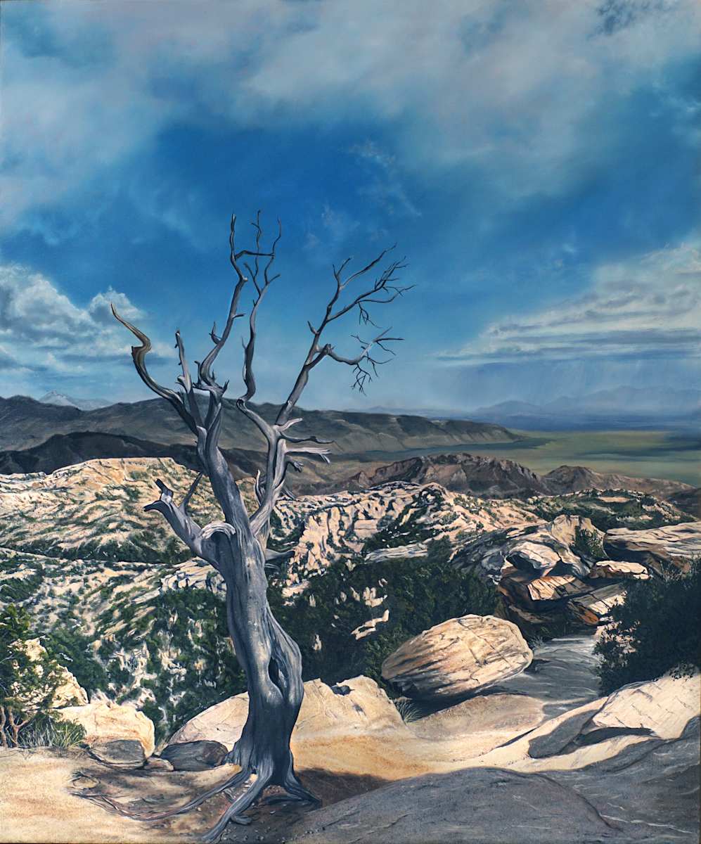 Sentinel on Mount Lemmon by Bethany Stephan 
