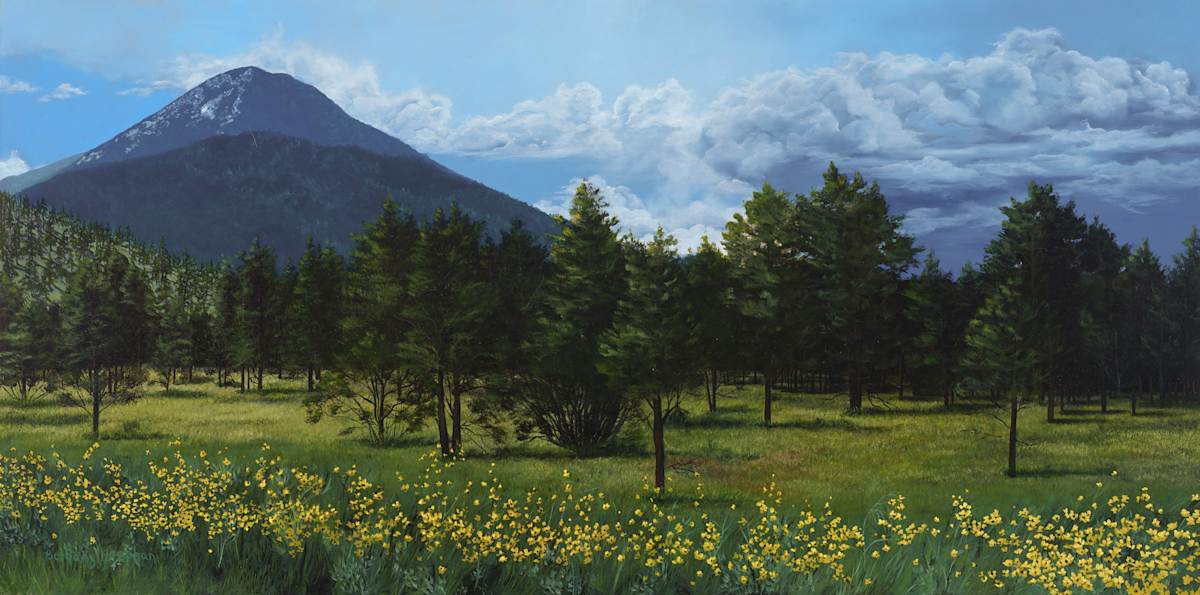 Hart Prairie by Bethany Stephan, Image 1.