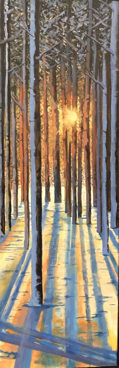 Awakening by Dawn Schmidt 