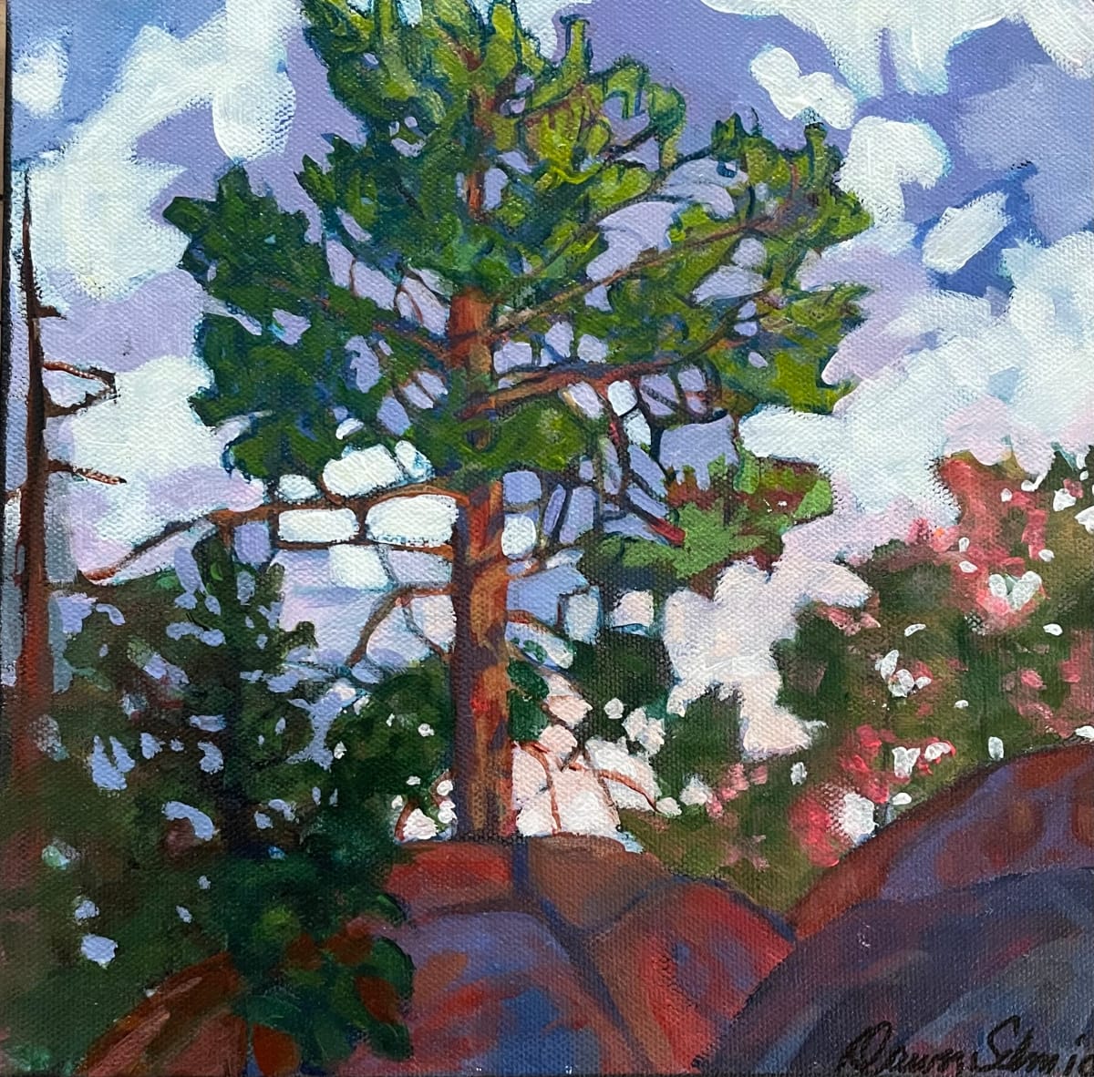 Deep Rooted by Dawn Schmidt 