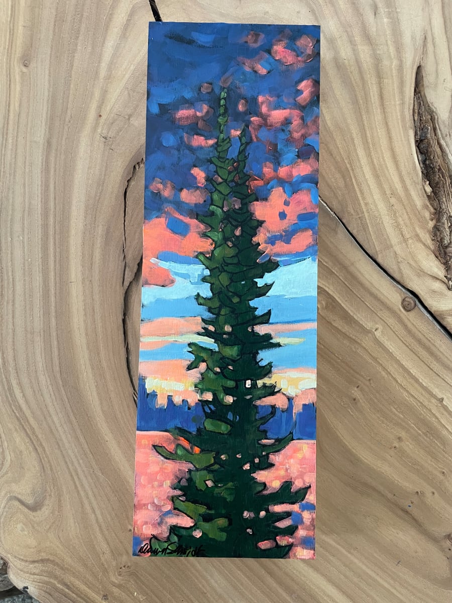 Height Seeking by Dawn Schmidt 