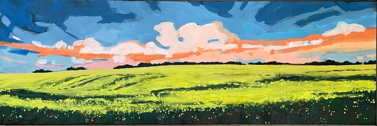 Wide Open Spaces by Dawn Schmidt 