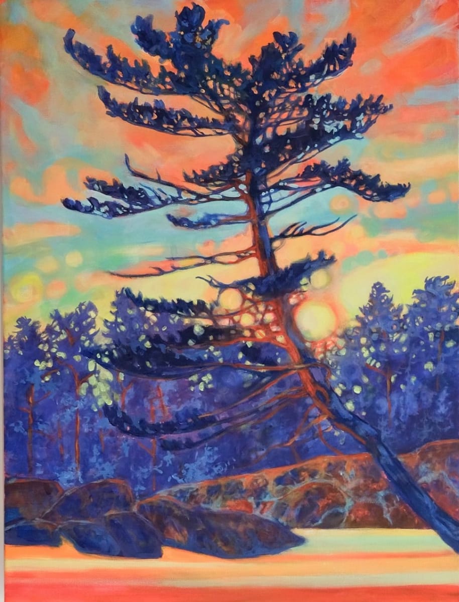 Pines Last Stand by Dawn Schmidt 