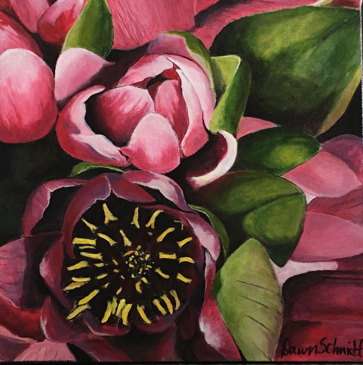 Pretty in Pink by Dawn Schmidt 