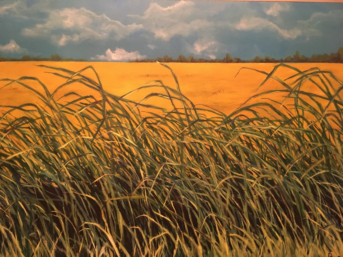 Crown Valley Road by Dawn Schmidt 