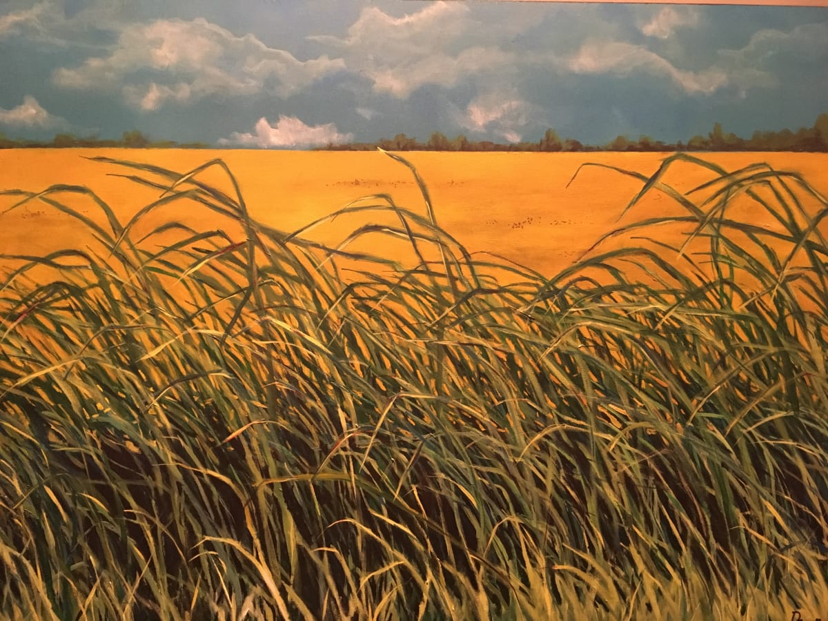Crown Valley Road by Dawn Schmidt, Image 1.