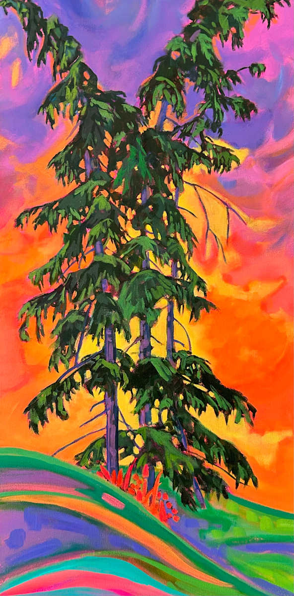 Evergreen Glow by Dawn Schmidt 