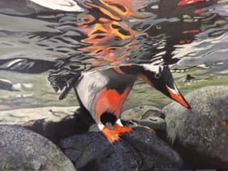 Diving for Treasure by Dawn Schmidt, Image 1.