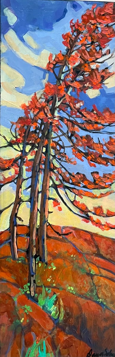 Burnished Boreal by Dawn Schmidt 