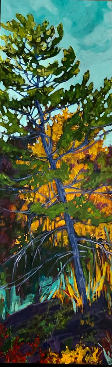 Falls Symphony by Dawn Schmidt 