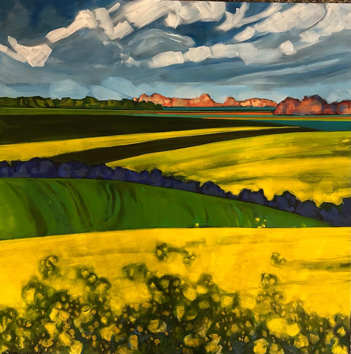 Canola at Cloudbreak by Dawn Schmidt, Image 1.