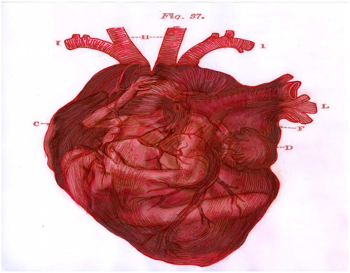 Heart Merge Excerpt 10 (From "The Anatomical Intimacy of the Heart" series) mixed media, $250.  Buyer pays shipping.  Prints available, contact artist. by Stephen Mead  Image: The series "The Anatomical Intimacy of the Heart" was published as a book, https://www.amazon.com/Anatomical-Intimacy-Heart-Stephen-Mead/dp/B0914WWJ4K