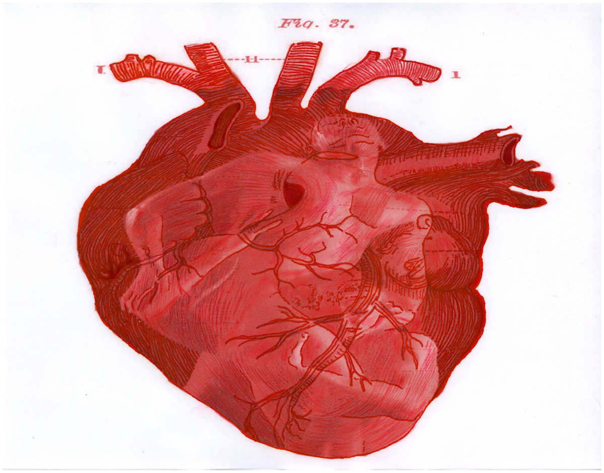 Heart Merge Excerpt 1 (From "The Anatomical Intimacy of the Heart" series) mixed media, $250.  Buyer pays shipping.  Prints available, contact artist. by Stephen Mead  Image: The series "The Anatomical Intimacy of the Heart" was published as a book, https://www.amazon.com/Anatomical-Intimacy-Heart-Stephen-Mead/dp/B0914WWJ4K