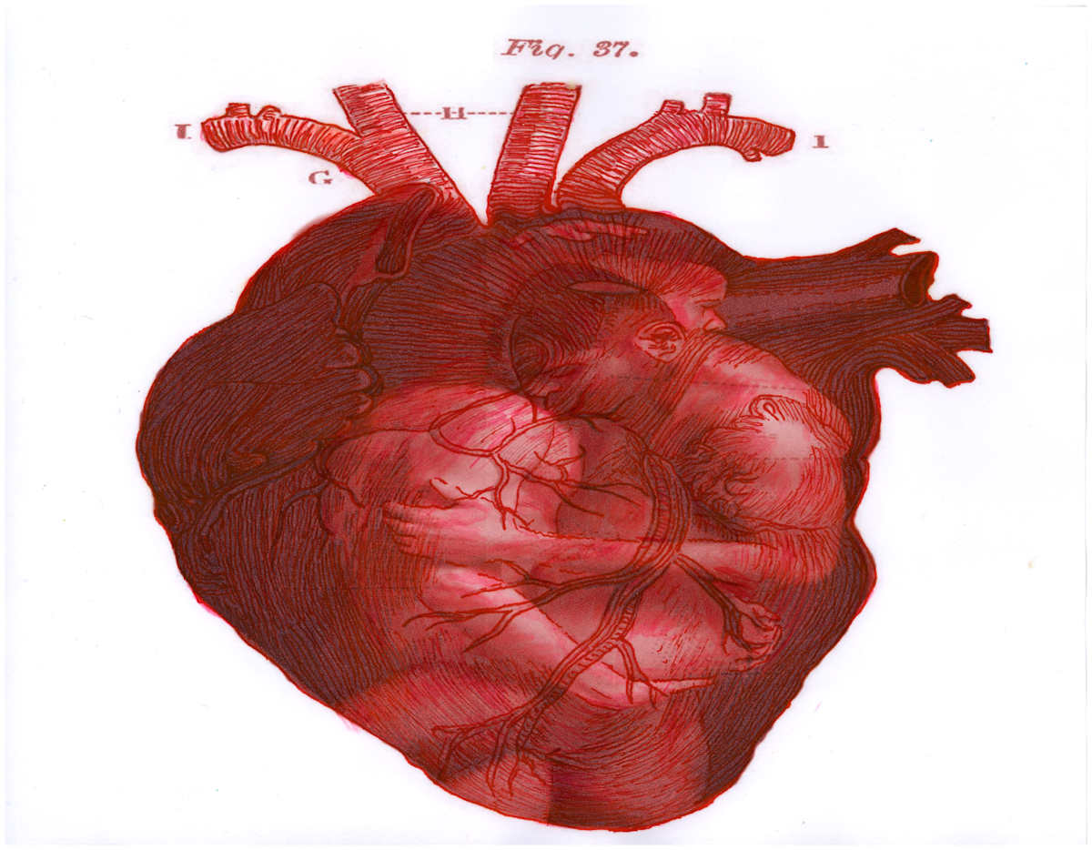Heart Merge Excerpt 3 (From "The Anatomical Intimacy of the Heart" series) mixed media, $250.  Buyer pays shipping.  Prints available, contact artist. by Stephen Mead  Image: The series "The Anatomical Intimacy of the Heart" was published as a book, https://www.amazon.com/Anatomical-Intimacy-Heart-Stephen-Mead/dp/B0914WWJ4K