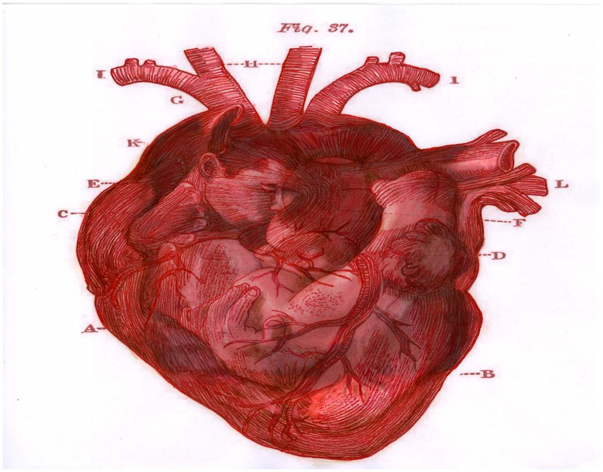 Heart Merge Excerpt 8 (From "The Anatomical Intimacy of the Heart" series) mixed media, $250.  Buyer pays shipping.  Prints available, contact artist. by Stephen Mead  Image: The series "The Anatomical Intimacy of the Heart" was published as a book, https://www.amazon.com/Anatomical-Intimacy-Heart-Stephen-Mead/dp/B0914WWJ4K