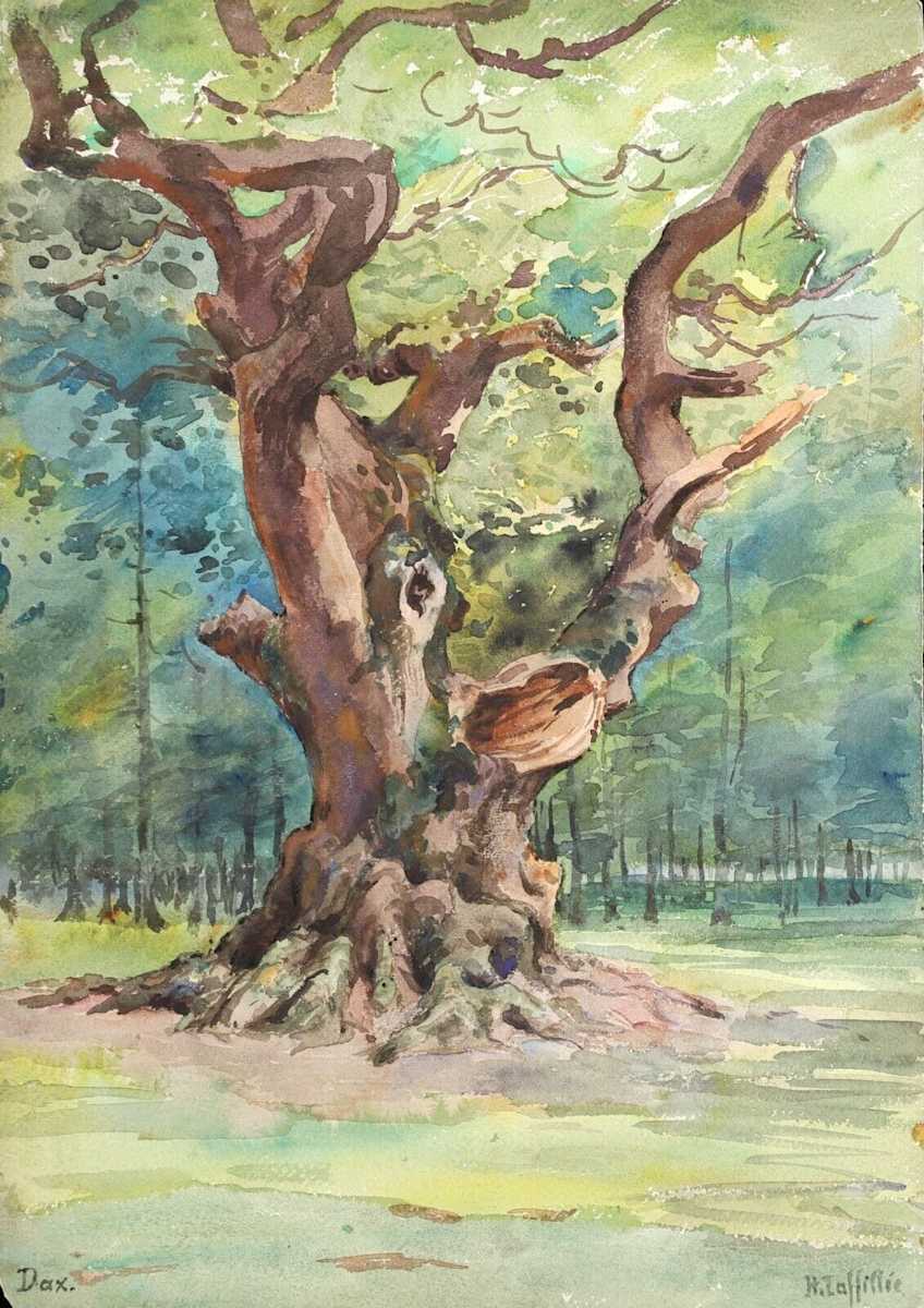 Oak Tree at Dax by Henri Laffillee (1859-1947) 