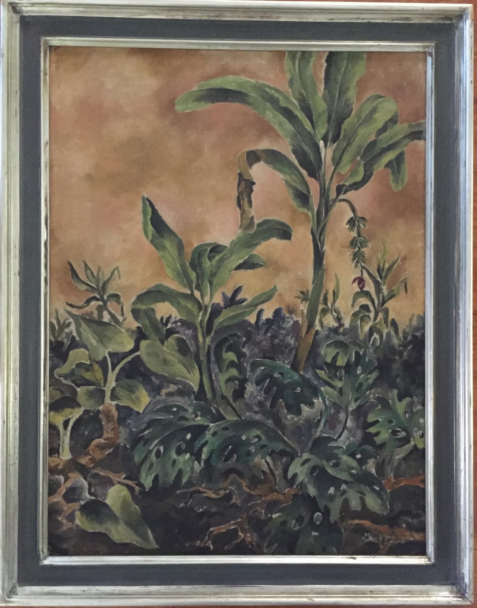 Vintage Plants by Unidentifiable Signature 