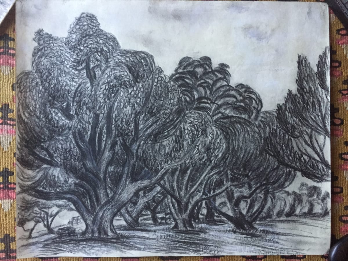 Swirly Trees at Lake Merritt by Frank J Bette, Image 1.