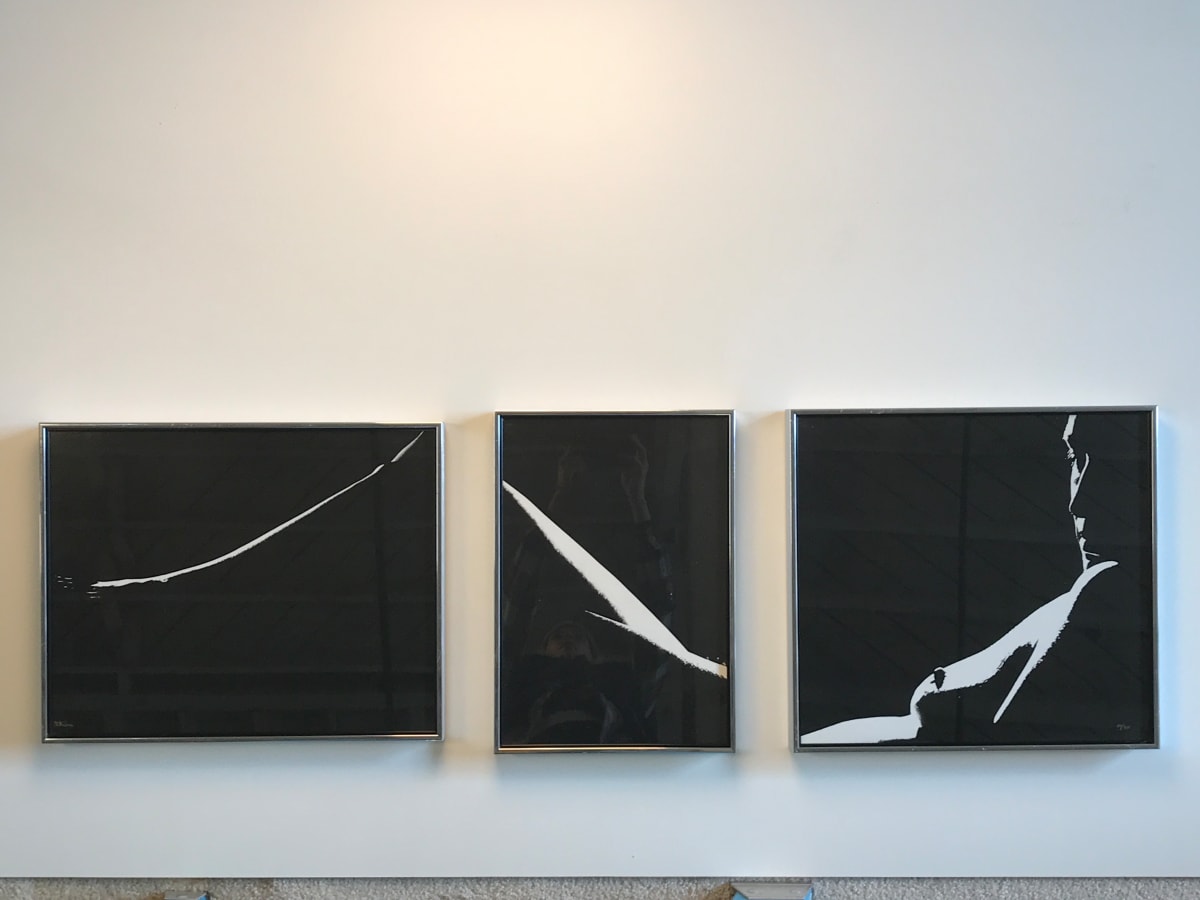 Nude Triptych by D Kohn 
