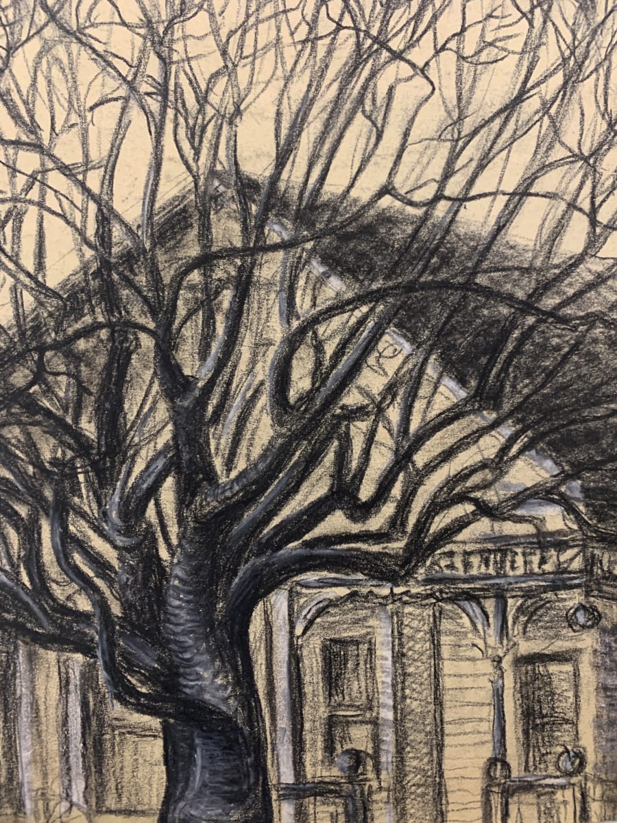 On Central Ave., Alameda, CA by Frank J Bette 