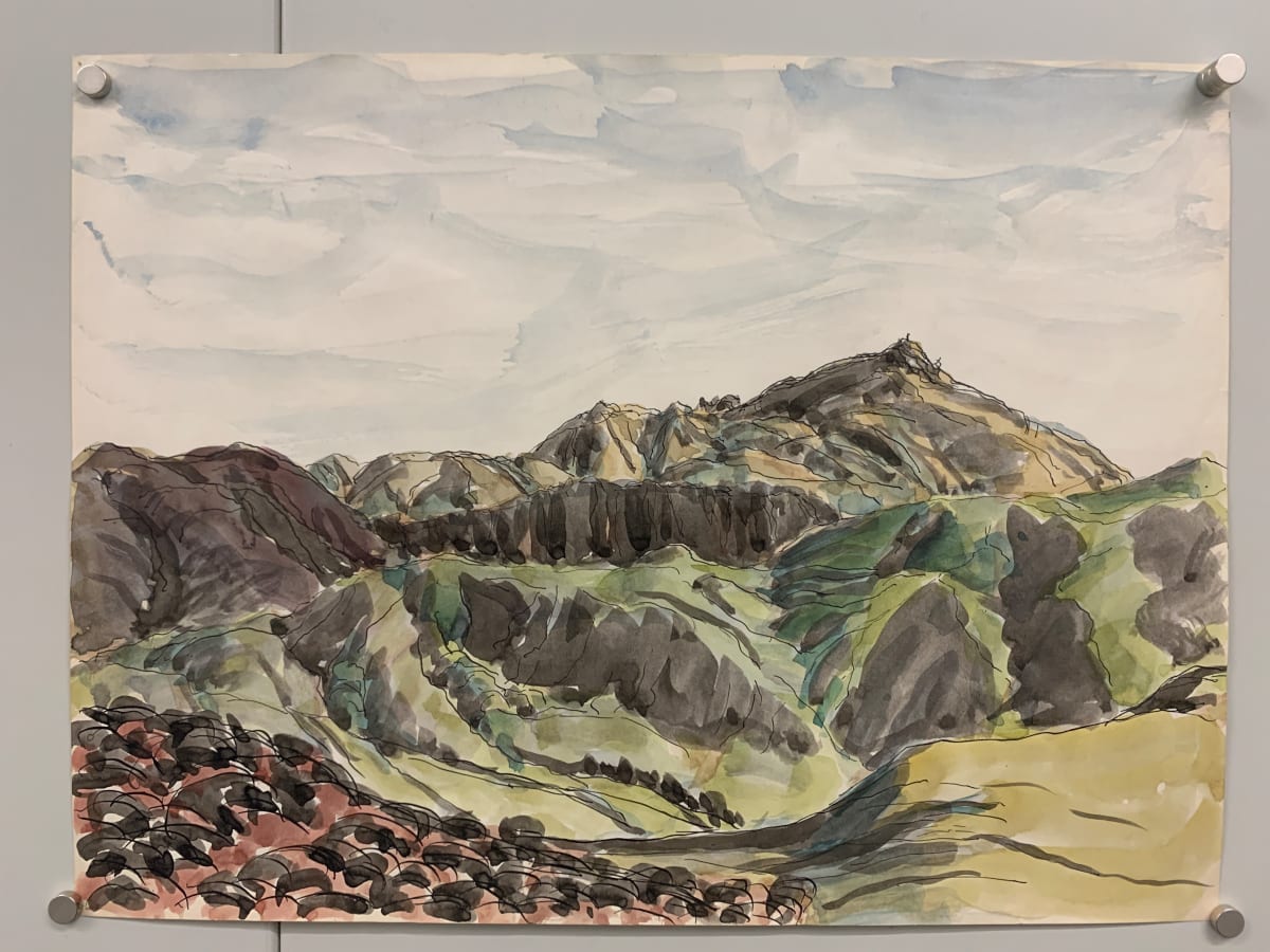 Red Bush Black Peak by Frank J Bette 