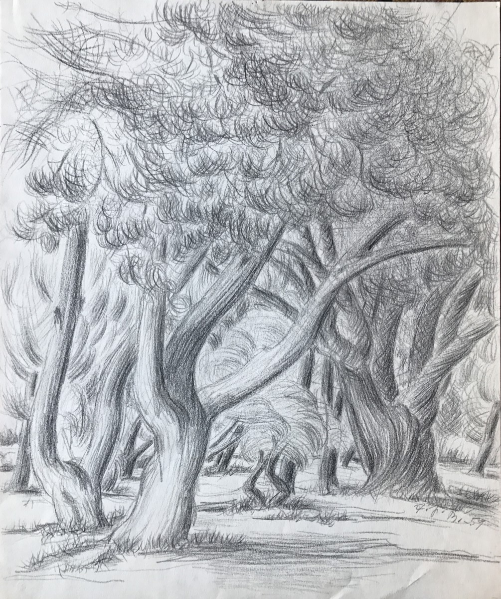 Whimsy Trees by Frank J Bette 