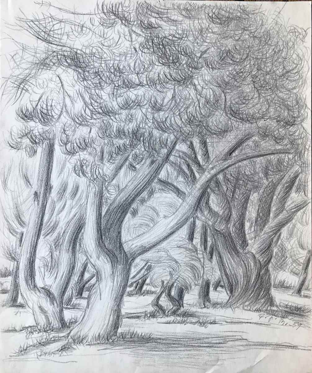 Whimsy Trees by Frank J Bette, Image 1.
