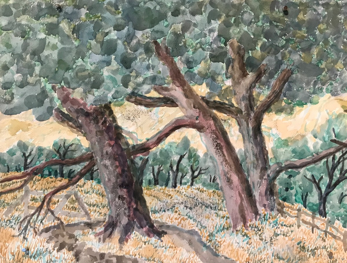 Short Trees by Frank J Bette 