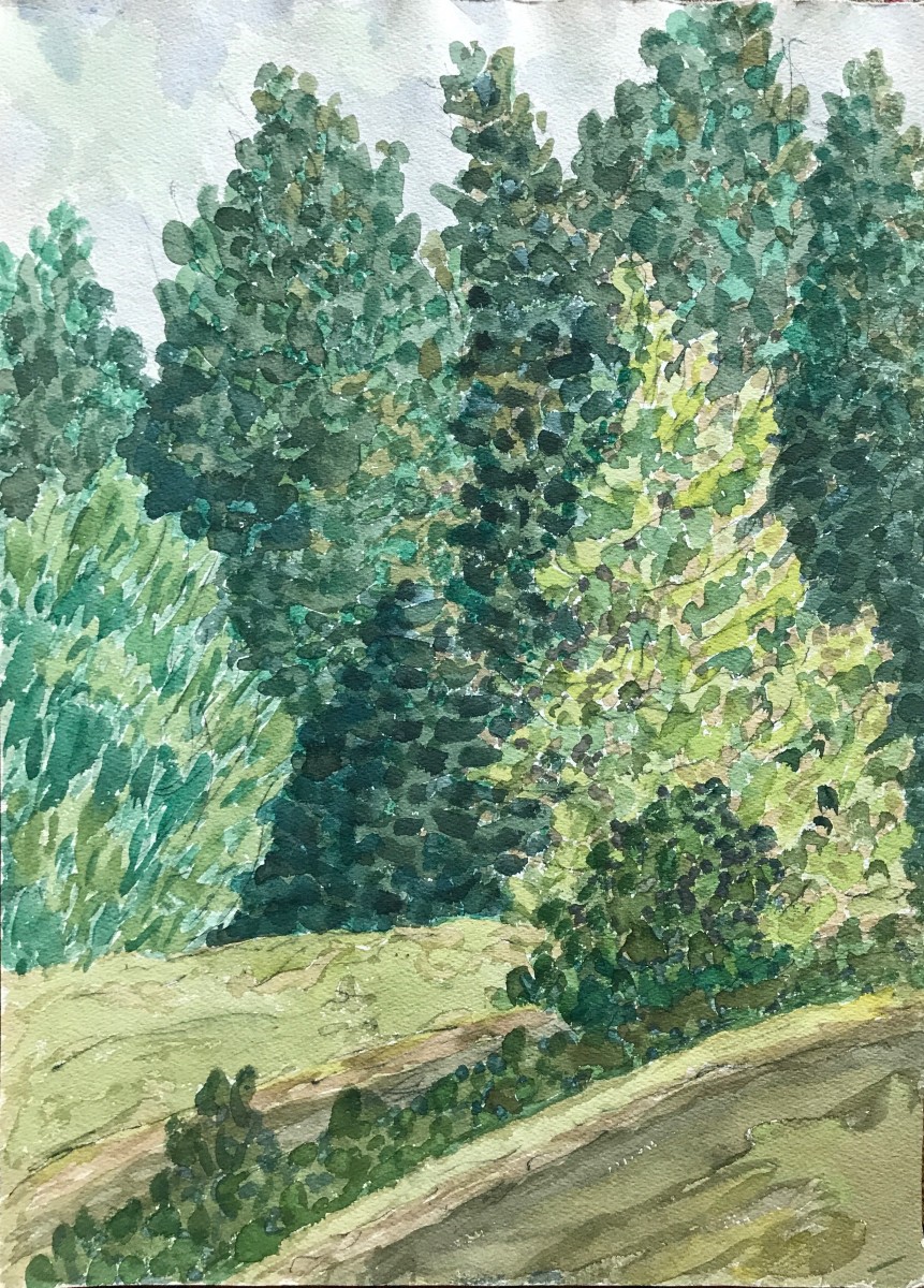 Hiking Trail by Frank J Bette 