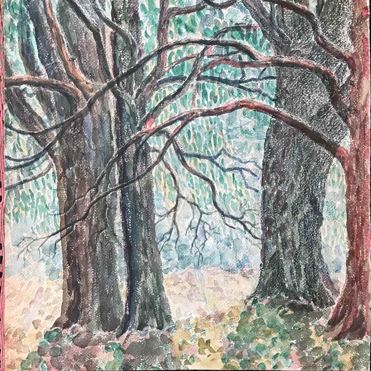 Old Trees by Frank J Bette, Image 1.