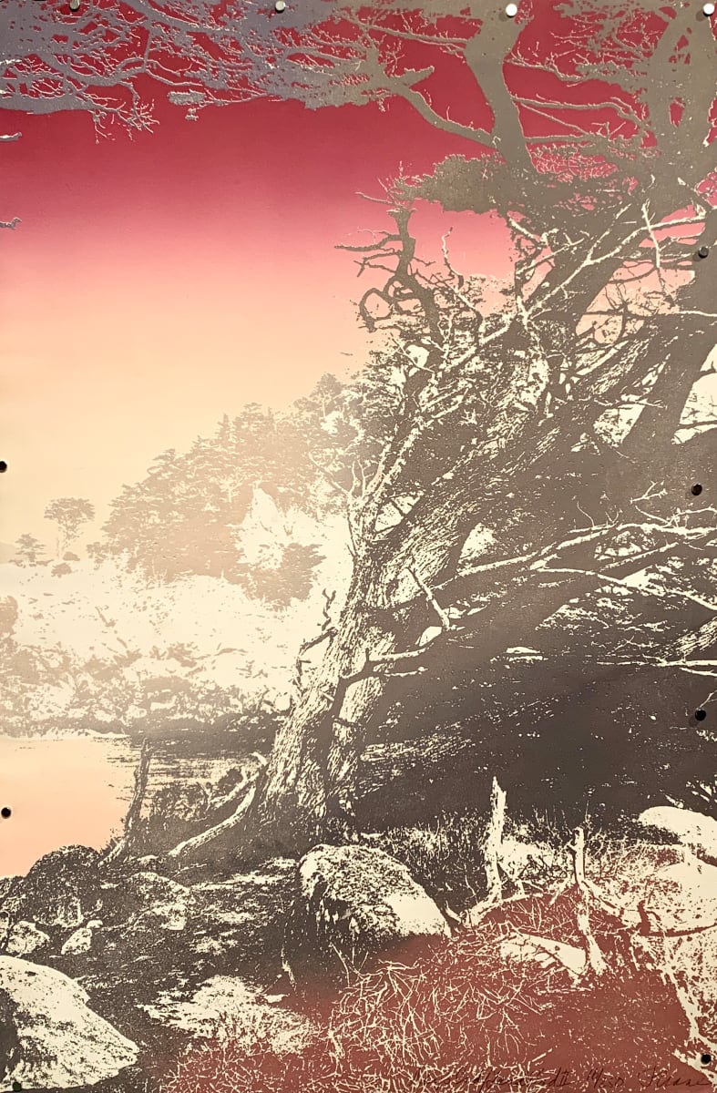 "Day's End Land's End II" by Paula Crane 