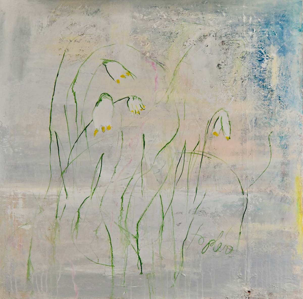 Schneeglöckchen by T0M0  Image: Bild ohne Bilderrahmen, Leinwand auf breitem 3D-Keilrahmen gespannt